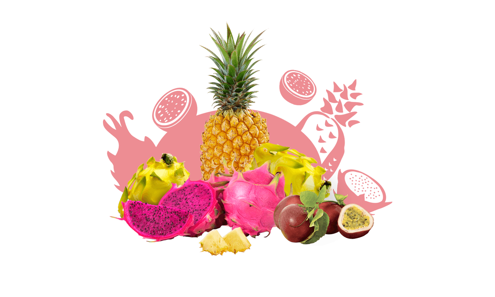 ESSENTIEL FRUIT PITAYA