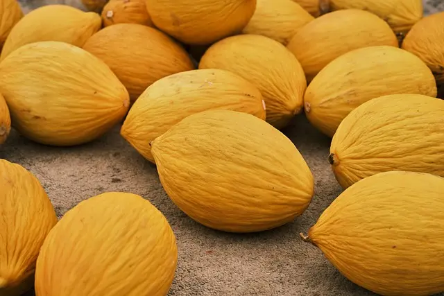 Comment Choisir des Fruits pour un Panier Équilibré