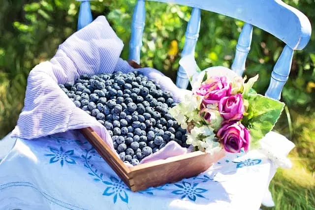 Les Meilleures Combinaisons de Fruits pour un Panier Équilibré