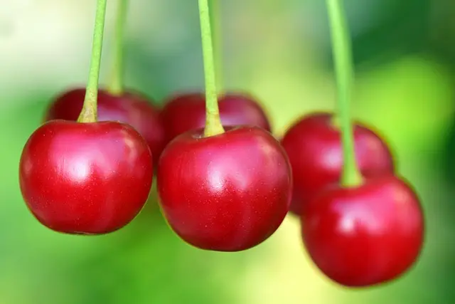 5 Astuces Incontournables pour Composer un Panier de Fruits D'été