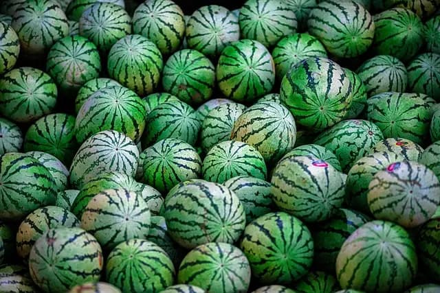 Les Fruits à Ne Pas Oublier pour un Panier d'Été Réussi