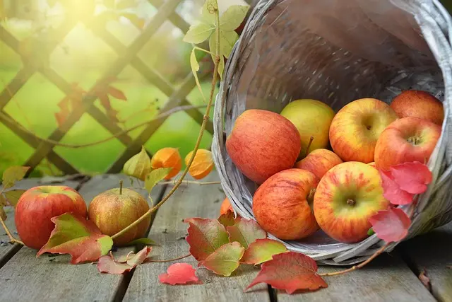 Comment Choisir les Fruits Idéaux pour un Panier Équilibré