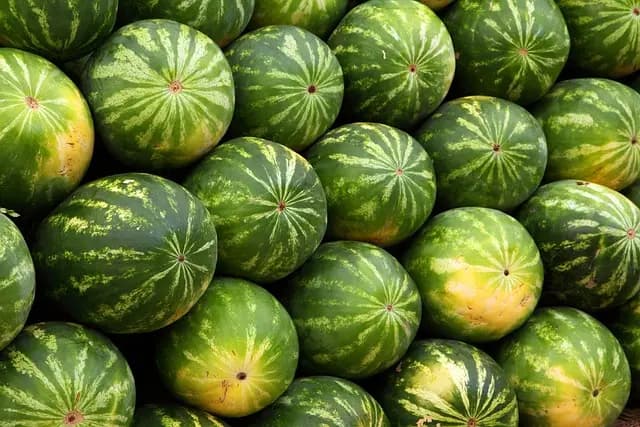 Les Meilleures Astuces pour Choisir des Fruits de Saison