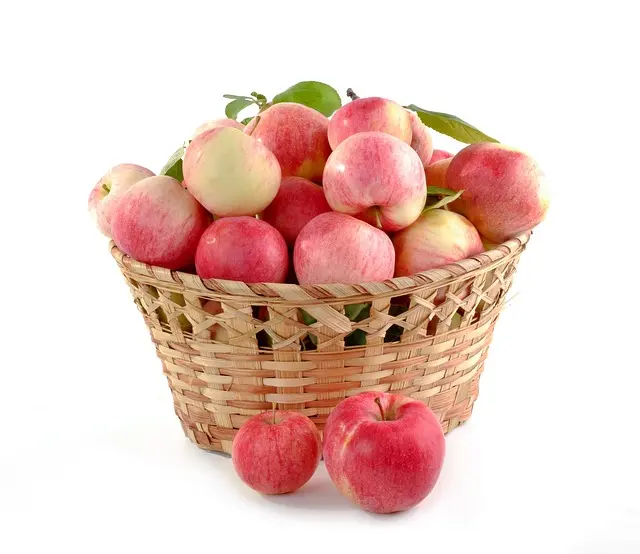 Les 10 Meilleurs Fruits à Ajouter dans votre Panier