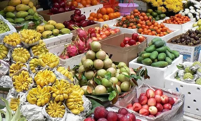 Comment Organiser un Panier de Fruits Écologique et Durable