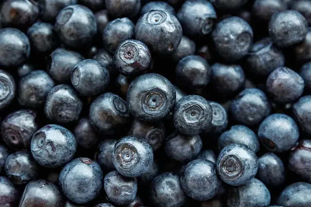 Les Bienfaits Nutraceutiques des Fruits dans un Panier