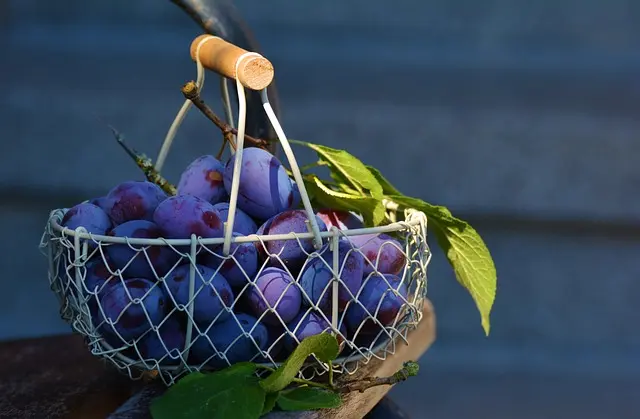 Les 10 Erreurs à Éviter Lors de la Composition d'un Panier de Fruits