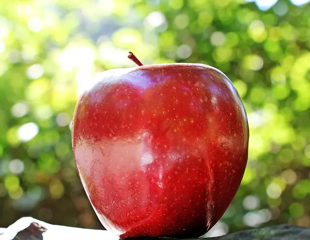 Les Fruits à Choisir pour un Panier Équilibré et Coloré