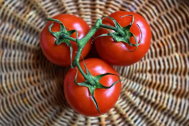 Un Panier de Fruits Équilibré pour Votre Santé