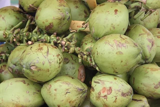 Comment Choisir des Fruits Exotiques pour Votre Panier de Fruits