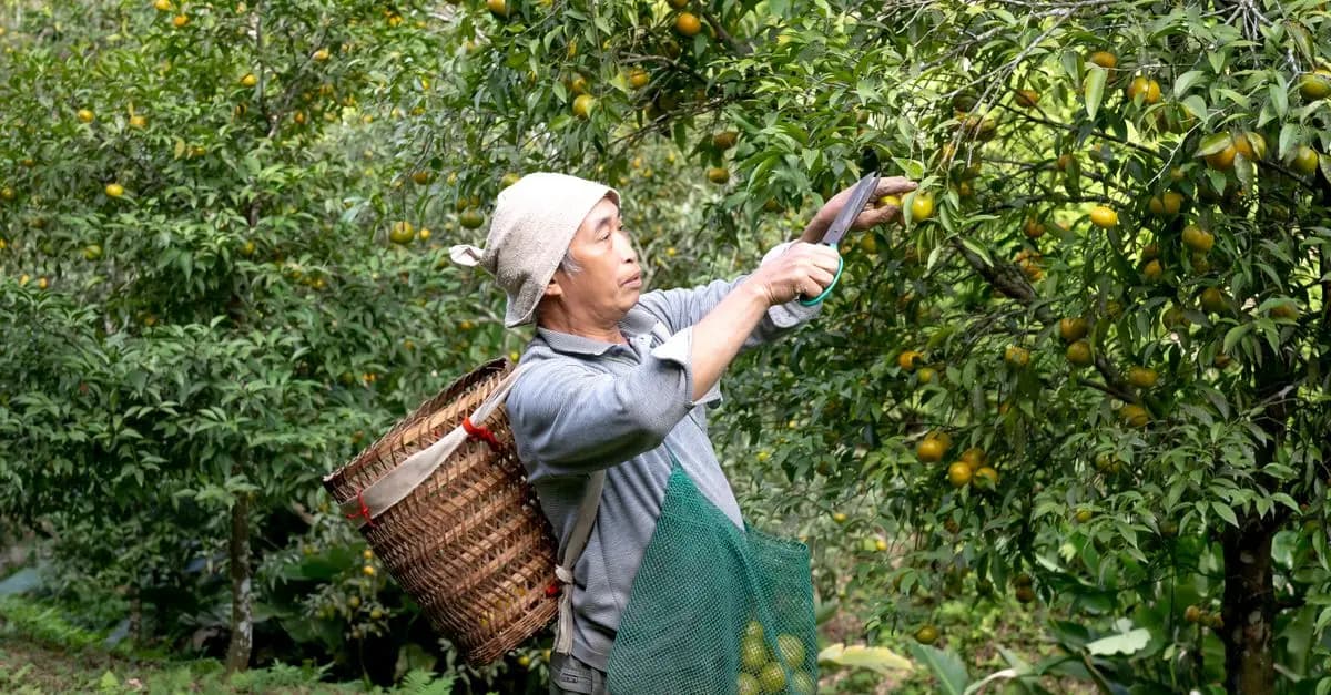 10 Bienfaits Inattendus des Fruits Frais