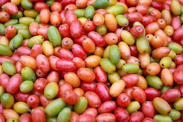 Les Fruits à Privilégier pour un Panier de Fruits Équilibré