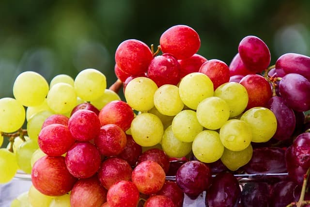 Les 10 Douces Variétés de Fruits à Ajouter à Votre Panier