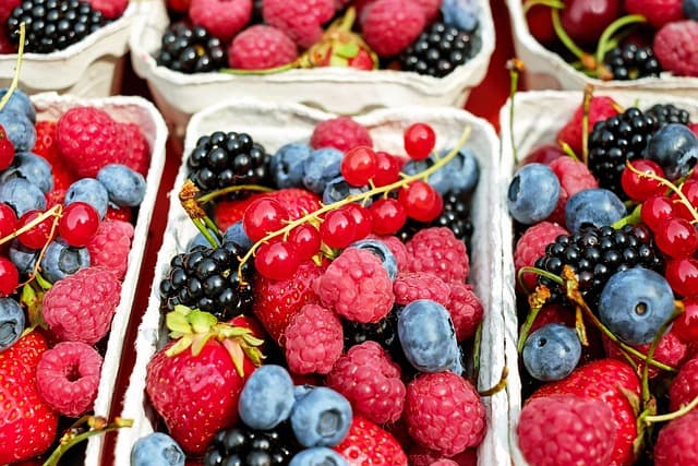 Les Bienfaits Nutraceutiques des Fruits dans un Panier