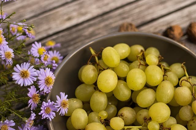 Les Astuces Pour Créer un Panier de Fruits Sain et Équilibré