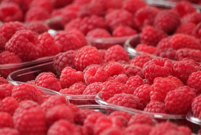 Comment Choisir des Fruits de Saison pour votre Panier